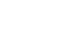 Carlin